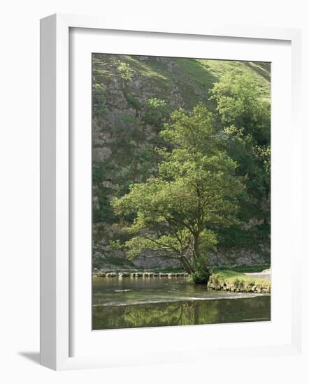 Dovedale (Dove Dale), Derbyshire, England, United Kingdom-Michael Busselle-Framed Photographic Print