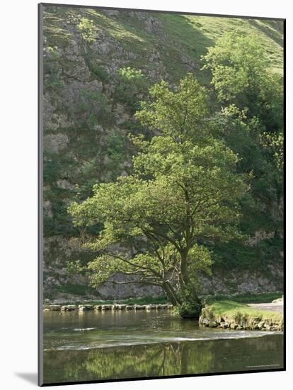 Dovedale (Dove Dale), Derbyshire, England, United Kingdom-Michael Busselle-Mounted Photographic Print
