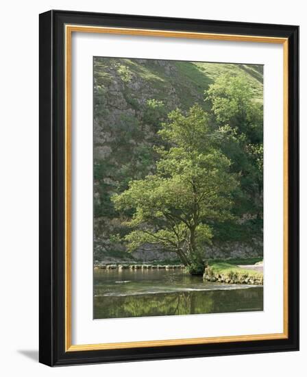 Dovedale (Dove Dale), Derbyshire, England, United Kingdom-Michael Busselle-Framed Photographic Print