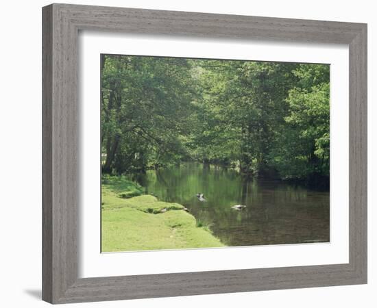 Dovedale (Dove Dale), Derbyshire, England, United Kingdom-Michael Busselle-Framed Photographic Print