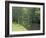 Dovedale (Dove Dale), Derbyshire, England, United Kingdom-Michael Busselle-Framed Photographic Print