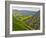 Dovedale, Peak District National Park, Derbyshire, England-Alan Copson-Framed Photographic Print