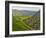 Dovedale, Peak District National Park, Derbyshire, England-Alan Copson-Framed Photographic Print