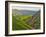 Dovedale, Peak District National Park, Derbyshire, England-Alan Copson-Framed Photographic Print