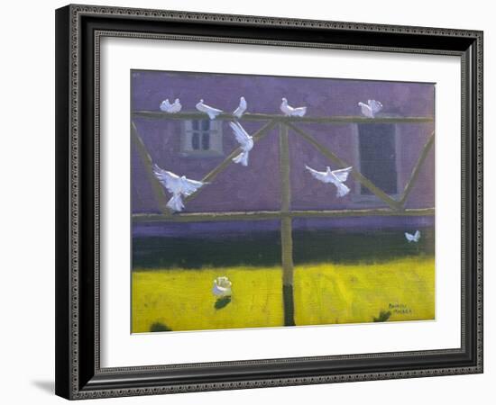 Doves, 1999-Andrew Macara-Framed Giclee Print