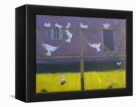Doves, 1999-Andrew Macara-Framed Premier Image Canvas