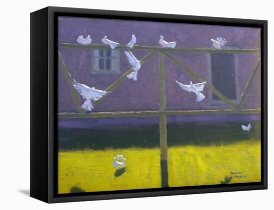 Doves, 1999-Andrew Macara-Framed Premier Image Canvas