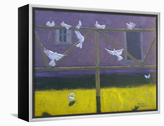 Doves, 1999-Andrew Macara-Framed Premier Image Canvas