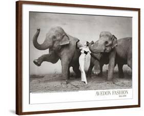 Dovima with Elephants, c.1955-Richard Avedon-Framed Art Print