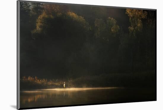 Down By the River-Norbert Maier-Mounted Photographic Print