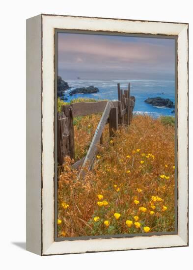 Down by the Sea Ranch-Vincent James-Framed Premier Image Canvas