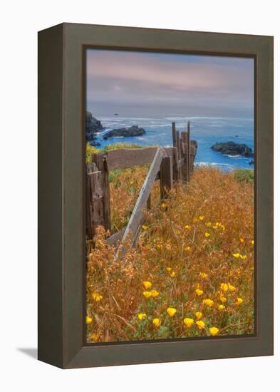 Down by the Sea Ranch-Vincent James-Framed Premier Image Canvas