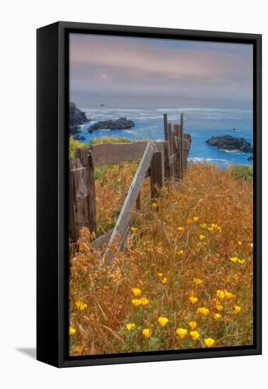 Down by the Sea Ranch-Vincent James-Framed Premier Image Canvas