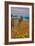 Down by the Sea Ranch-Vincent James-Framed Photographic Print