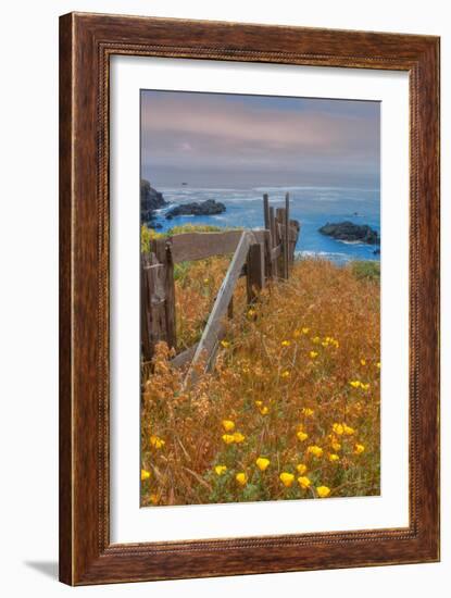 Down by the Sea Ranch-Vincent James-Framed Photographic Print
