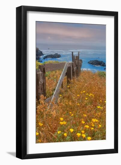 Down by the Sea Ranch-Vincent James-Framed Photographic Print