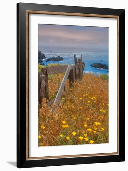 Down by the Sea Ranch-Vincent James-Framed Photographic Print