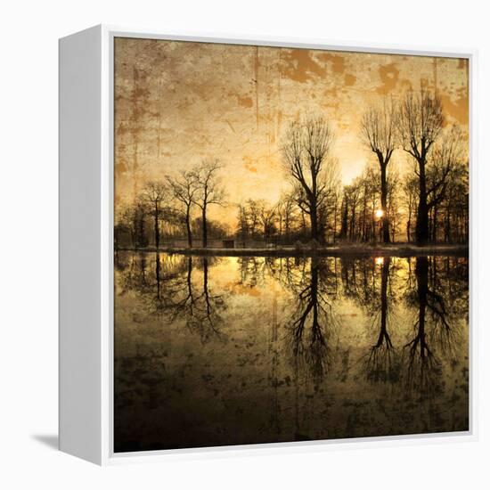 Down Deep into the Pain-Philippe Sainte-Laudy-Framed Premier Image Canvas