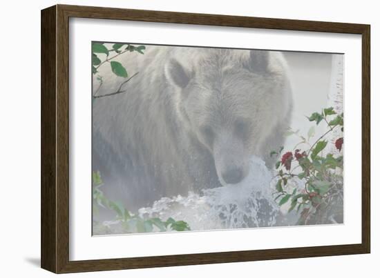 Down Stream-Gordon Semmens-Framed Photographic Print