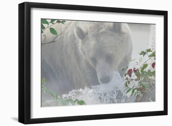 Down Stream-Gordon Semmens-Framed Photographic Print