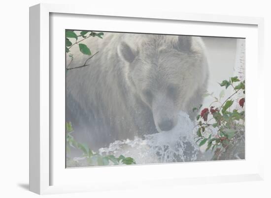 Down Stream-Gordon Semmens-Framed Photographic Print