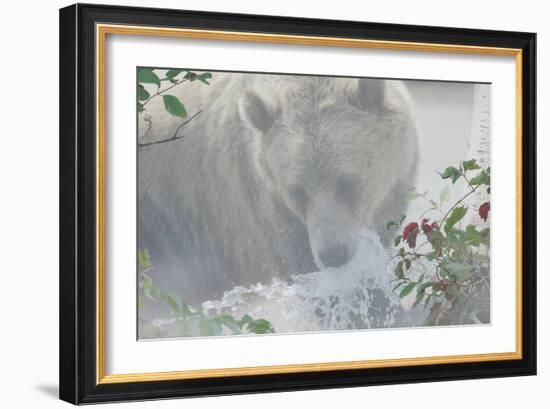 Down Stream-Gordon Semmens-Framed Photographic Print