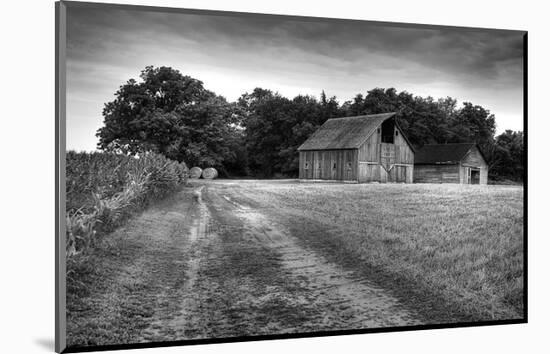 Down the Dirt Lane-Trent Foltz-Mounted Art Print