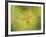 Down the More Troubling Bird-Paul Klee-Framed Giclee Print