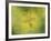 Down the More Troubling Bird-Paul Klee-Framed Giclee Print