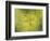 Down the More Troubling Bird-Paul Klee-Framed Giclee Print