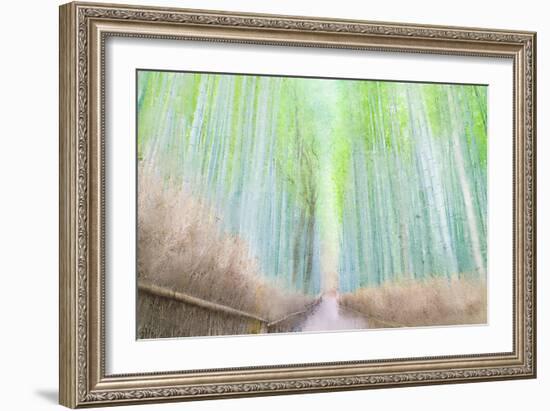 Down the Path-Kimberly Allen-Framed Photo