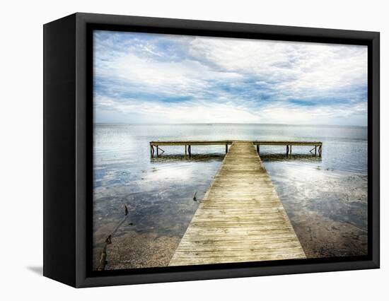 Down the Pier 2-Danny Head-Framed Premier Image Canvas