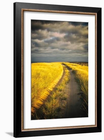 Down the Road-Aledanda-Framed Art Print