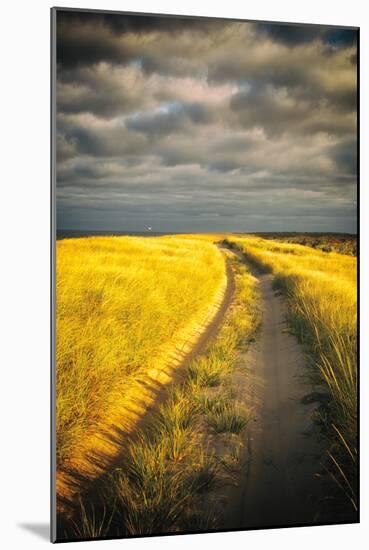 Down the Road-Aledanda-Mounted Art Print