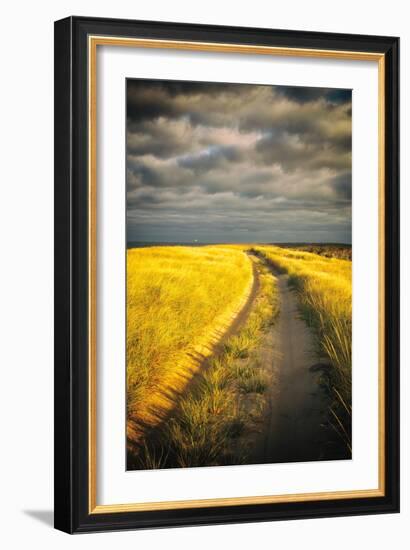 Down the Road-Aledanda-Framed Art Print