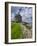 Downhill, County Derry, Ulster, Northern Ireland-Carsten Krieger-Framed Photographic Print