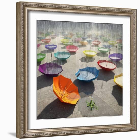 Downpour-Cynthia Decker-Framed Photographic Print