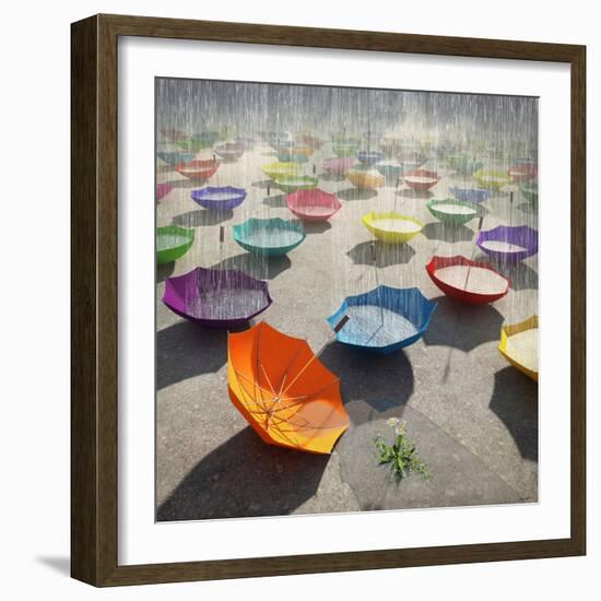 Downpour-Cynthia Decker-Framed Photographic Print