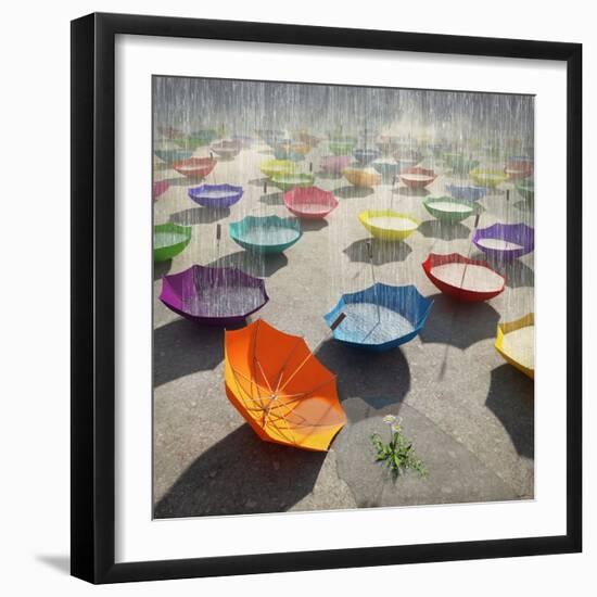 Downpour-Cynthia Decker-Framed Photographic Print