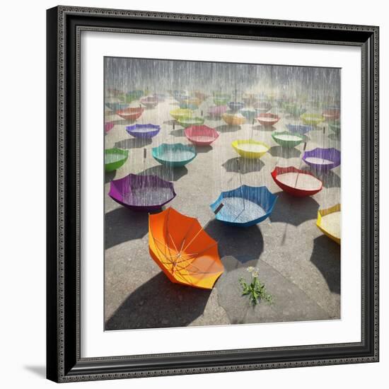 Downpour-Cynthia Decker-Framed Photographic Print