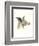 Downton Animals I-Grace Popp-Framed Art Print