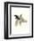 Downton Animals I-Grace Popp-Framed Art Print