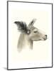 Downton Animals I-Grace Popp-Mounted Art Print