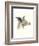Downton Animals I-Grace Popp-Framed Premium Giclee Print
