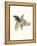 Downton Animals I-Grace Popp-Framed Stretched Canvas