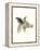 Downton Animals I-Grace Popp-Framed Stretched Canvas