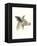 Downton Animals I-Grace Popp-Framed Stretched Canvas