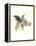 Downton Animals I-Grace Popp-Framed Stretched Canvas