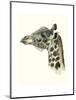 Downton Animals II-Grace Popp-Mounted Art Print