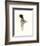 Downton Animals III-Grace Popp-Framed Art Print